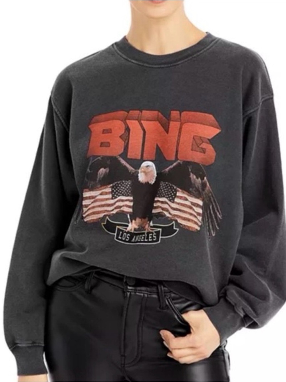 SALE** Anine Bing Charcoal Crewneck with Red Logo and Eagle Graphic - Picture 7 of 7